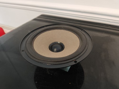 Celestion bass driver model - bass,