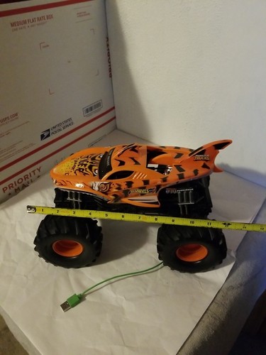 New bright tiger - , hot