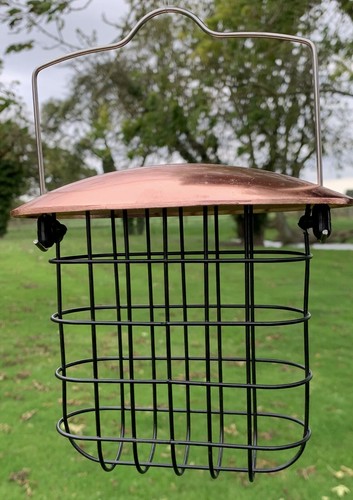 Wild bird suet - wild,
