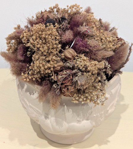 Dried flower display - dried,