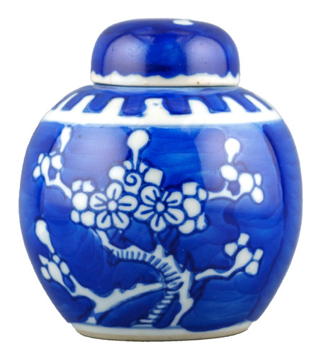 Chinese porcelain prunus - chinese,