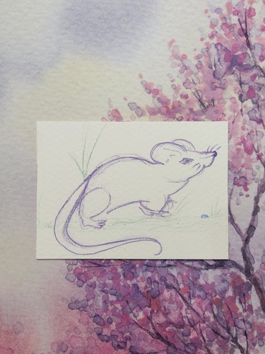 Field mouse aceo sketch art - mouse",