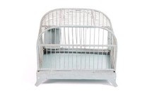 Old Birdcage Bird Cage With