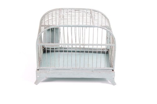 Old birdcage bird cage with - birdcage,