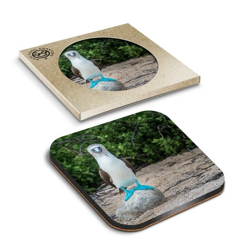 Boxed square coasters - coasters,