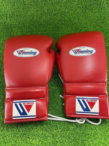 Winning 600 professional - ms-600,