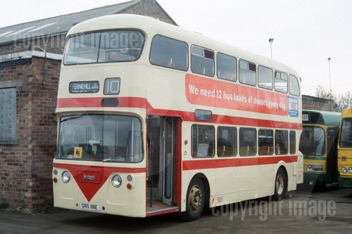 Bus photo lothian transit - photo,