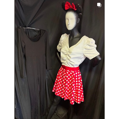 Minnie mouse costume - mouse, costume-