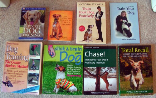 Dog puppy train training - 8,