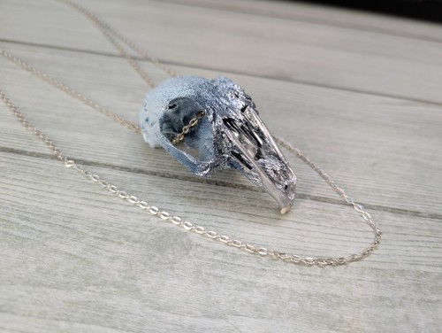 Taxidermy painted rabbit skull - painted,
