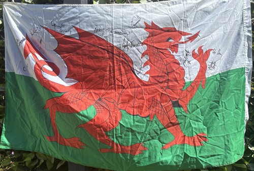 Signed wales flag the 2003 - wales, by