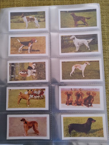 1961 hornimans tea - hornimans, cards