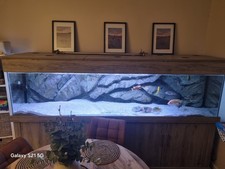 180 Gallon Tropical Glass Aquarium With 3D rock background And Comes With Sand.