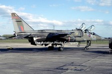RAF 226 OCU Sepecat Jaguar T.2