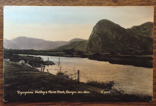 Dysynni valley bird rock - valley,