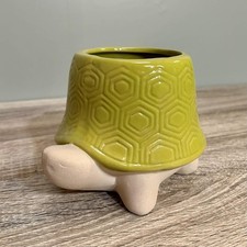 Ceramic Tortoise Shell Plant