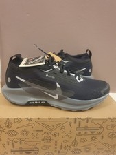 Nike Pegasus Trail 5 GTX Men's