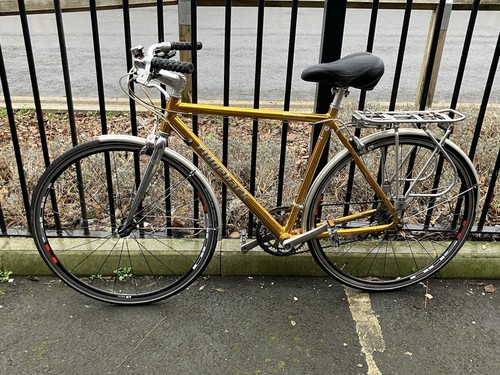 Gold genesis ridgeback day - gold,