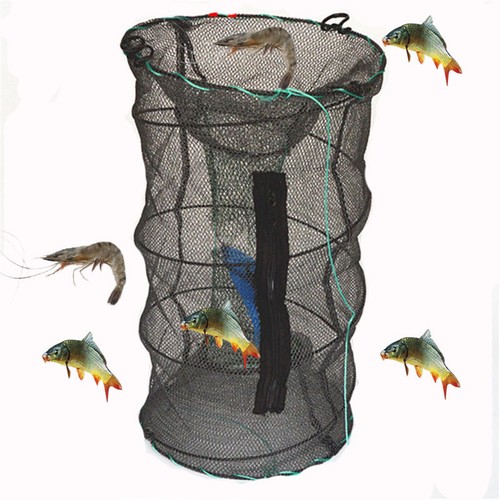 Fishing bait trap - bait, crab
