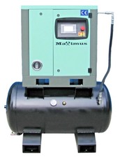 2026 Maximus 10 HP Rotary