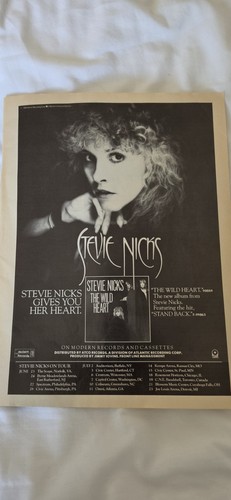 Stevie nicks fleetwood mac - stevie,