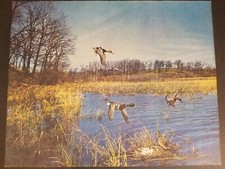 Vintage Mallard Family With