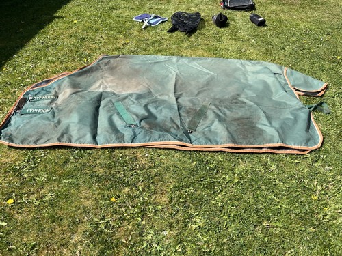 Shires turnout rug - shires,