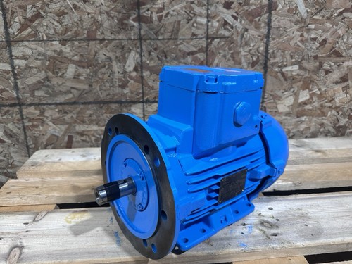 Atex electric motor - atex, weg