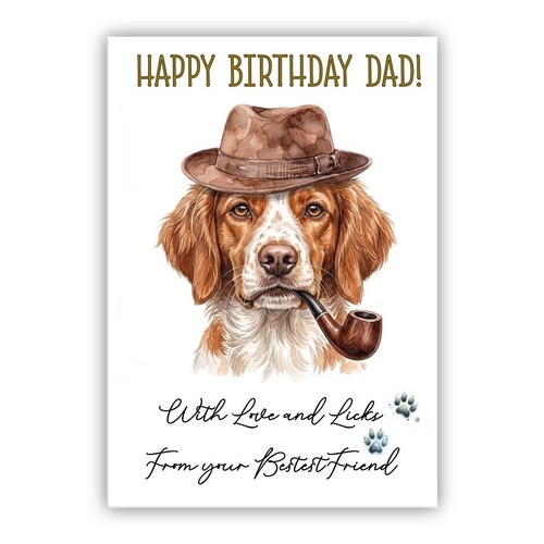 Brittany spaniel birthday card - spaniel,