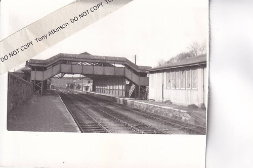 Tavistock railway - (south),