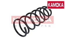 FRONT COIL SPRING 2110071