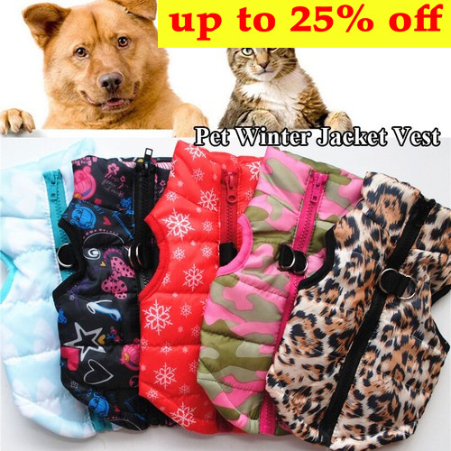 Pet autumn winter warm - pet,