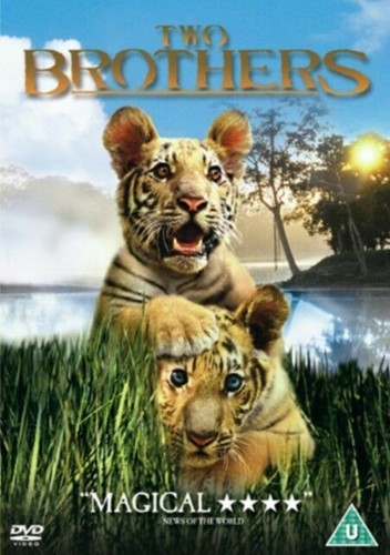 Two brothers dvd action - action, &