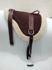 Western English Horse Riding