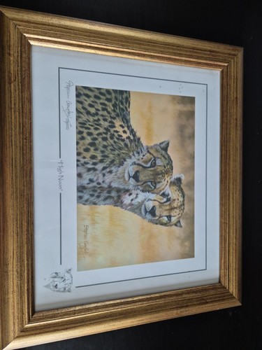 Stephen gayford wild about art - stephen,