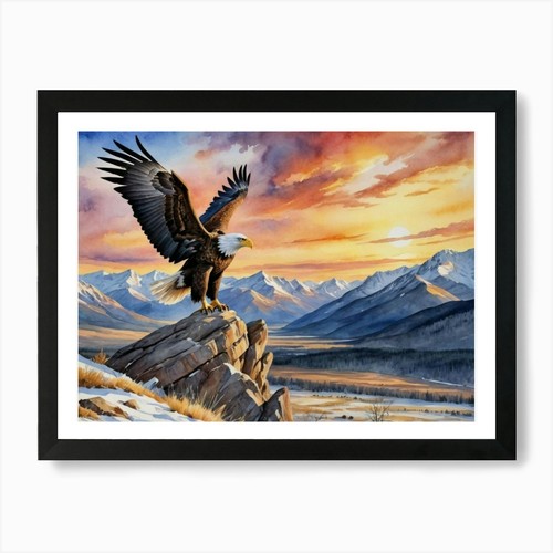 Bald eagle highlands - eagle, art
