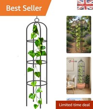 Elegant Black Metal Garden