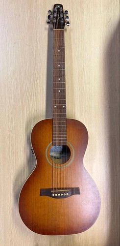 Seagull electric acoustic