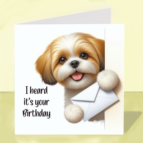 Shih tzu dog birthday - shih,