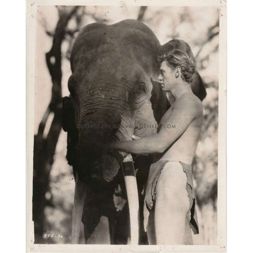 Tarzan the ape - man, (1932)