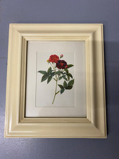 VINTAGE REDOUT ROSE PRINT