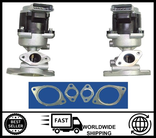 Pair egr valve - egr,