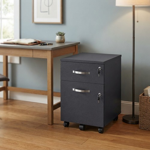 Elegant black drawer file - 2-drawer,