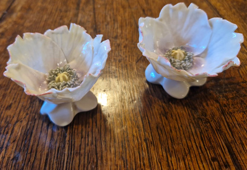 Pair rare karl ens german - ens,