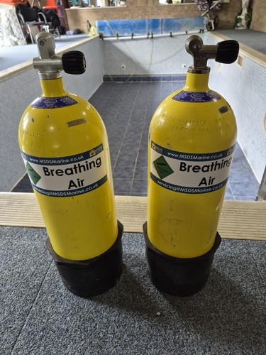 10l scuba diving cylinder full - diving,