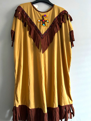Native american indian lady - native,