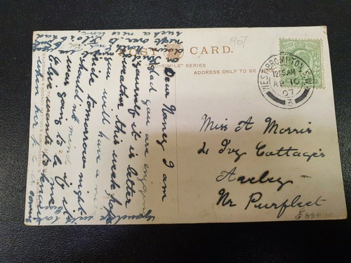 Family tree genealogy - family,