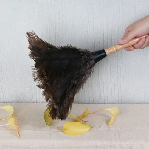 Anti static ostrich feather - anti-static,