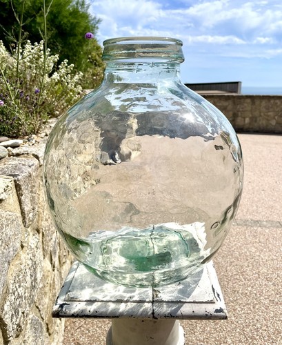 Vintage glass carboy terrarium - vintage,