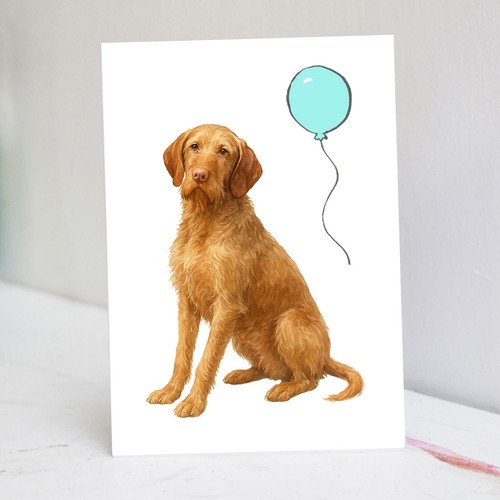 Wirehaired vizsla birthday - vizsla,